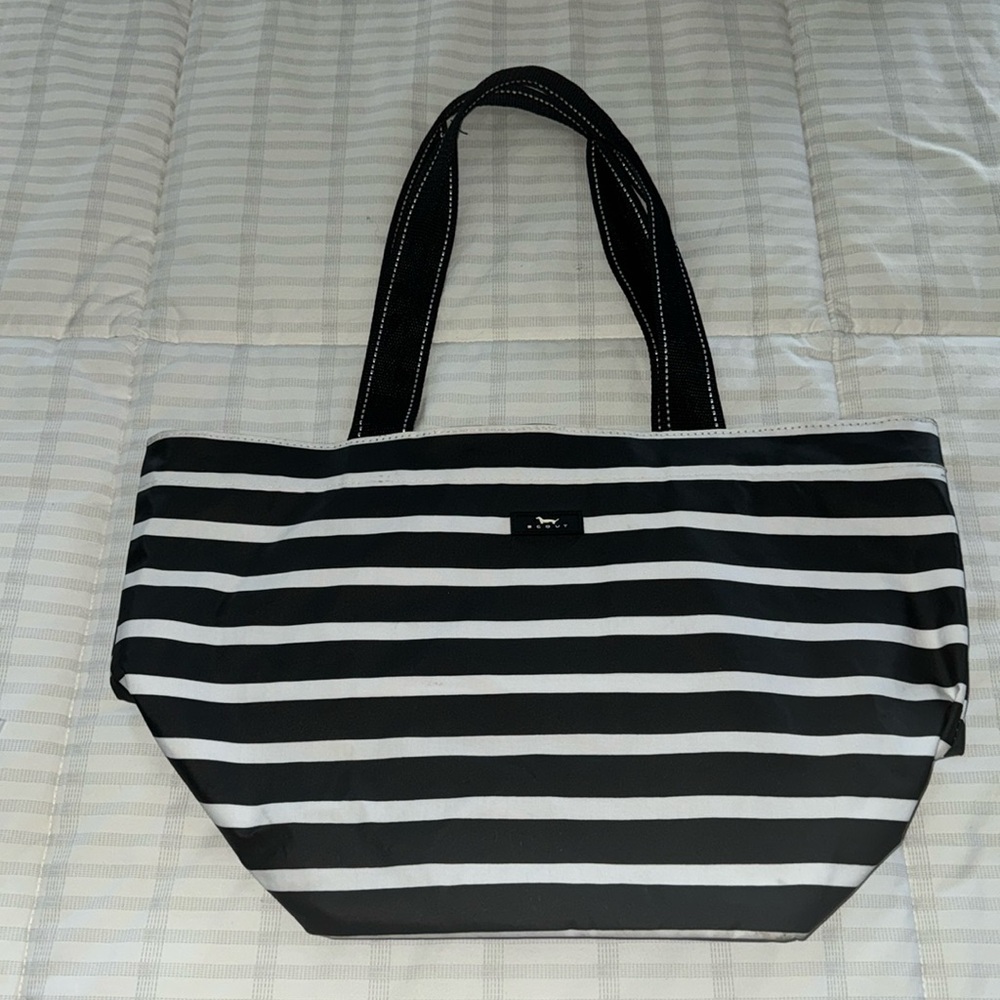 Skout carry bag